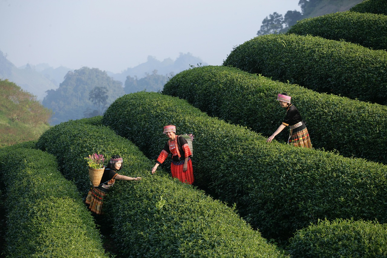 Why Best Online Betting Experiences Review 2027: Bonus, App, Withdrawal Tested